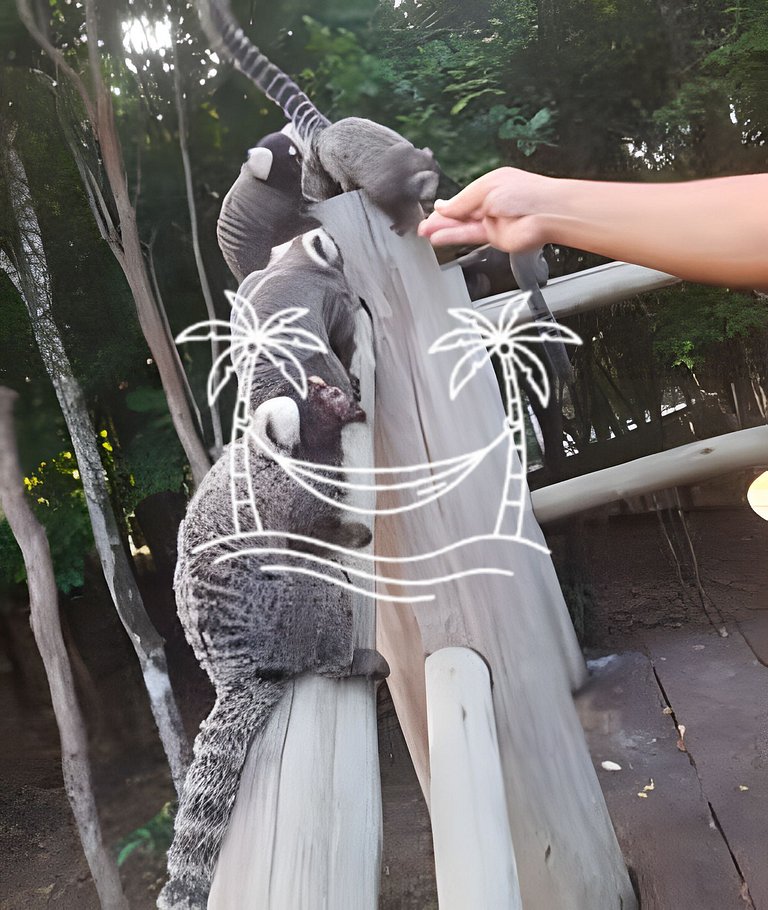 Oásis: Estúdio c/ Ofurô Aquecido p/3 Pessoas