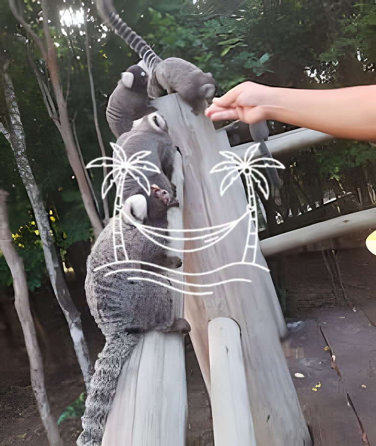 Oásis: Estúdio c/ Ofurô Aquecido p/3 Pessoas